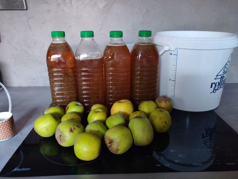 Fichier:Ingrédients hydromel à la pomme.jpg