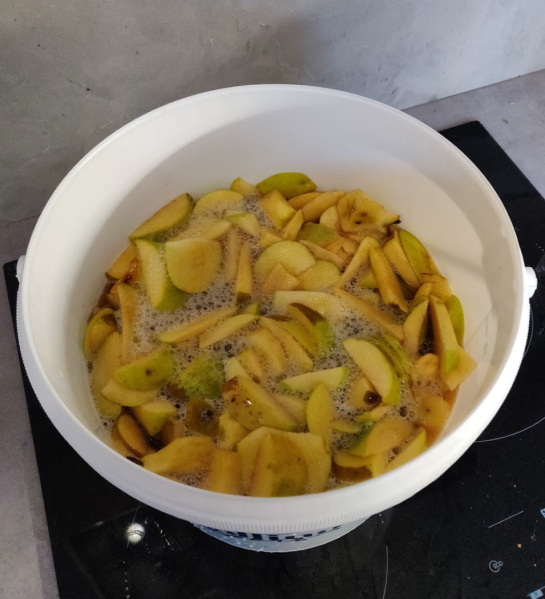 Fichier:Hydromel pomme fermentation.png