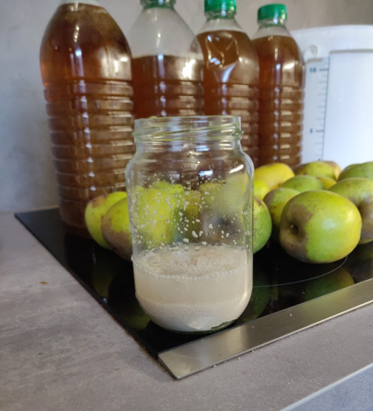 Fichier:Levain hydromel pomme.png