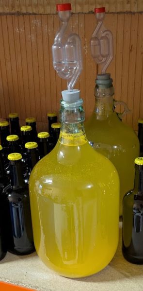 Fichier:Remplissage elevage hydromel.jpg