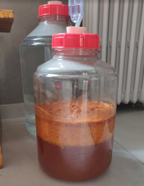 Fichier:Fermentation hydromel abricots.png