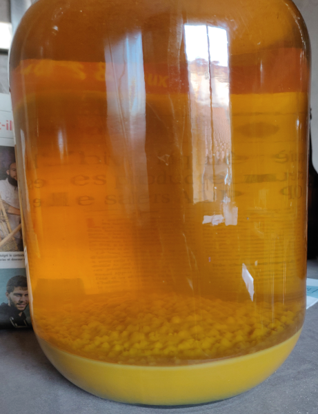 Fichier:Hydromel pomme clarifié.png