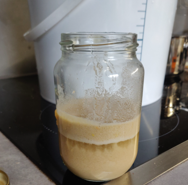 Fichier:Levain en cours d'acclimatation.png