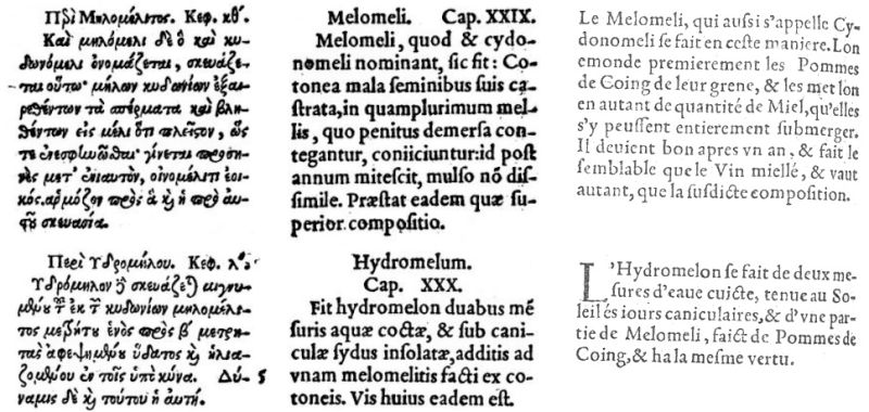 Fichier:Hydromelon dioscoride.jpg