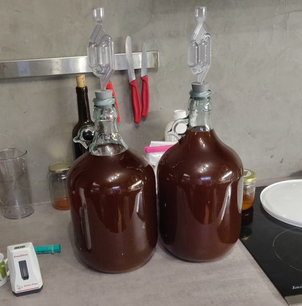 Fichier:Bochet en élevage.png