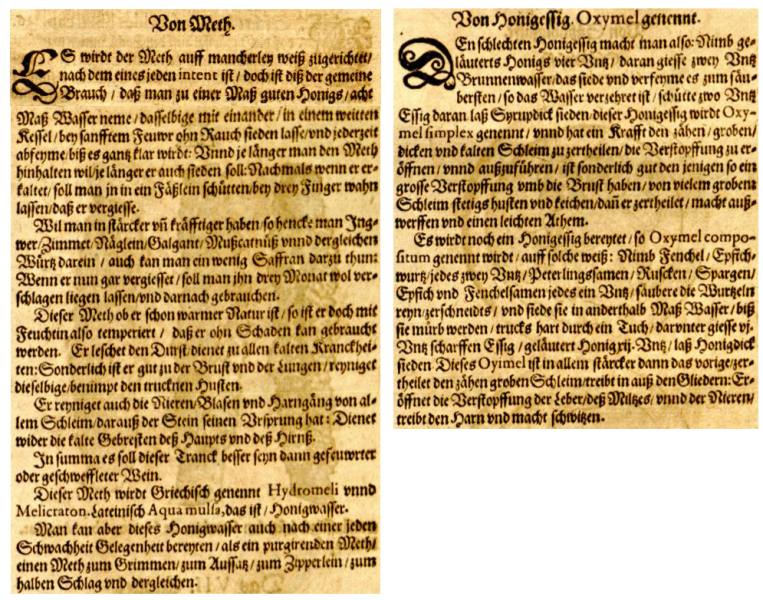Fichier:Tabernaemontanus hydromel 1588.png