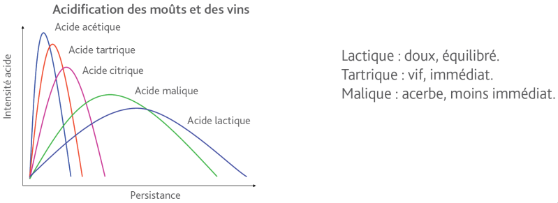 Fichier:Intensité et persistance des acides.png