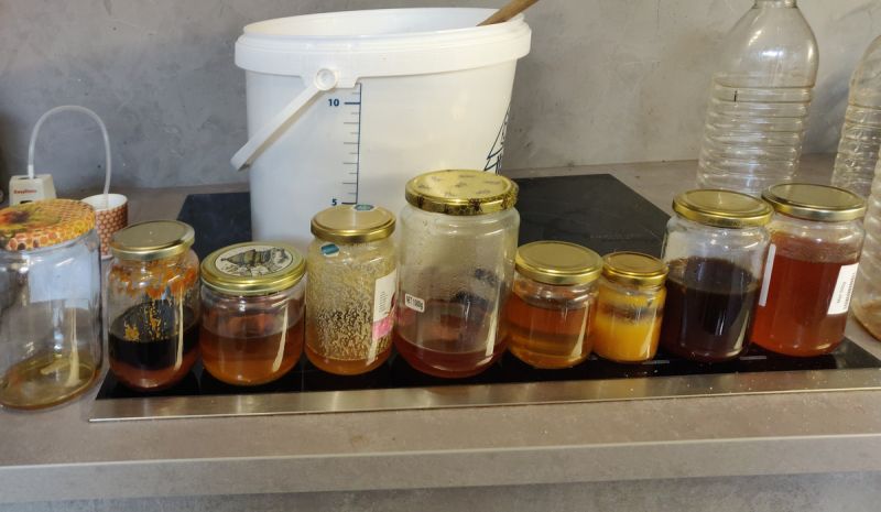 Fichier:Miels hydromel pomme.jpg